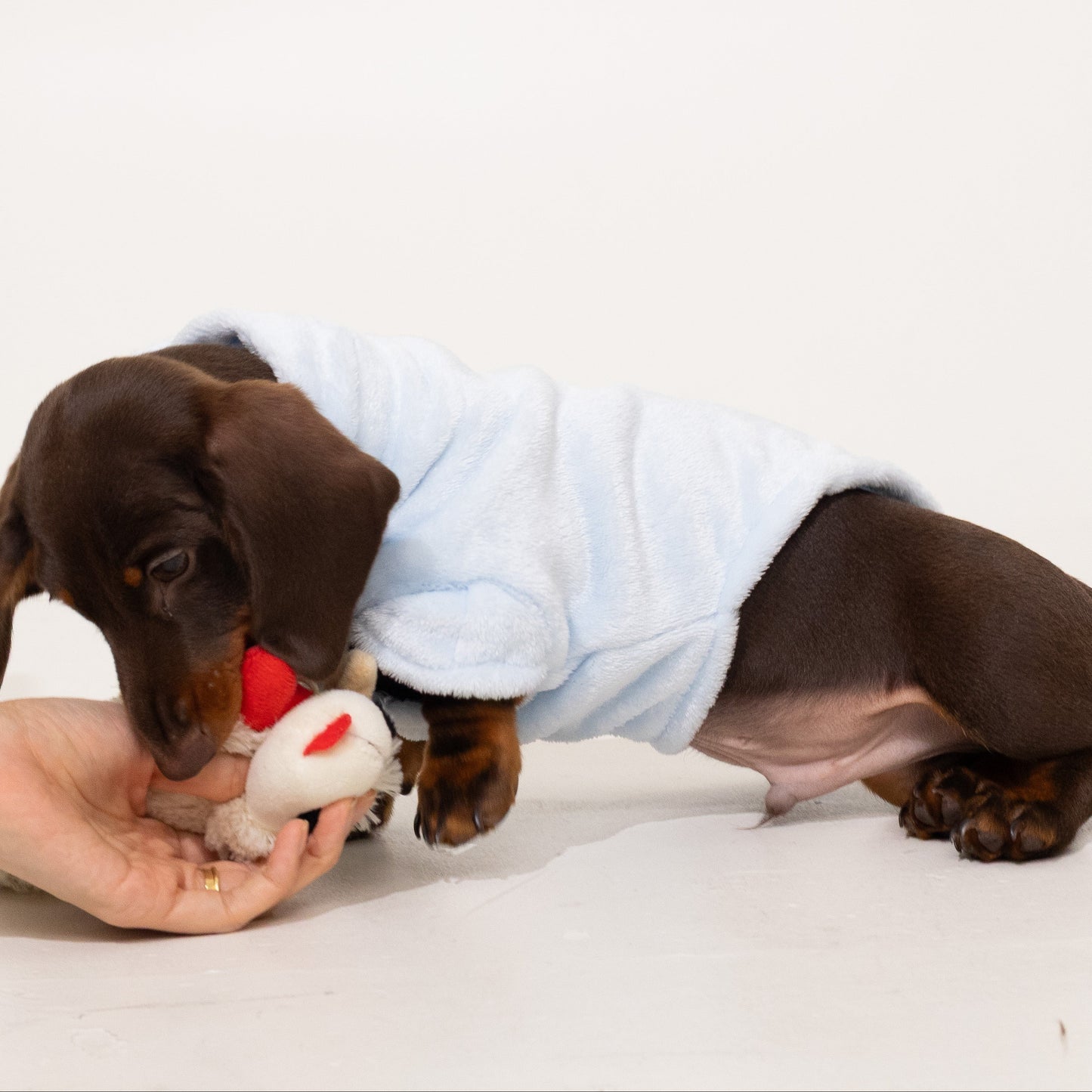 Pastel Blue Plush Sweater
