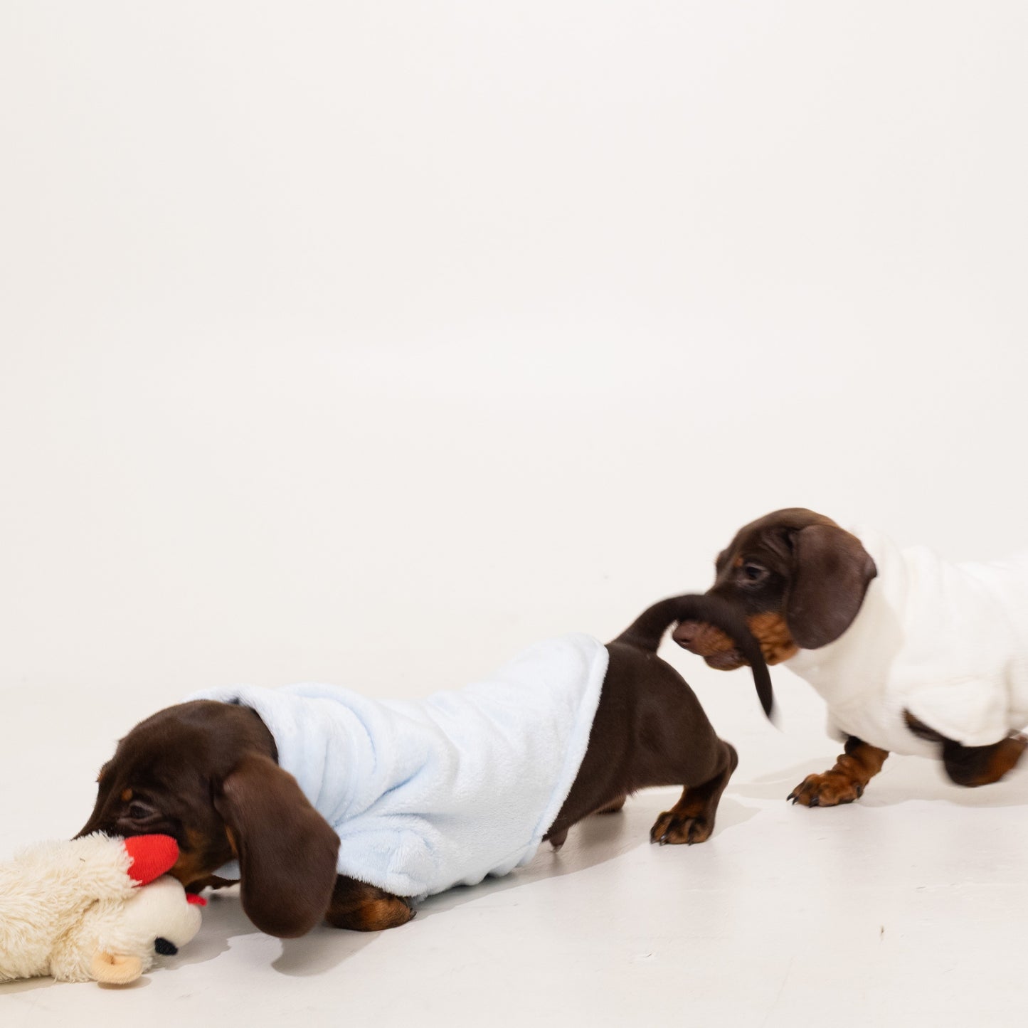 Pastel Blue Plush Sweater