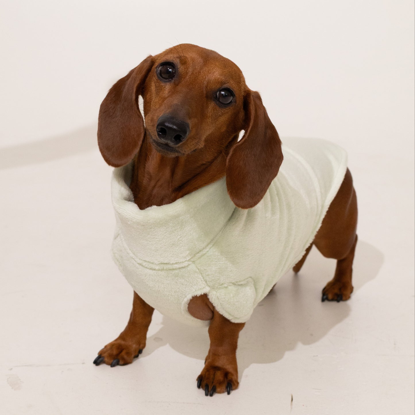 Pastel Green Plush Sweater