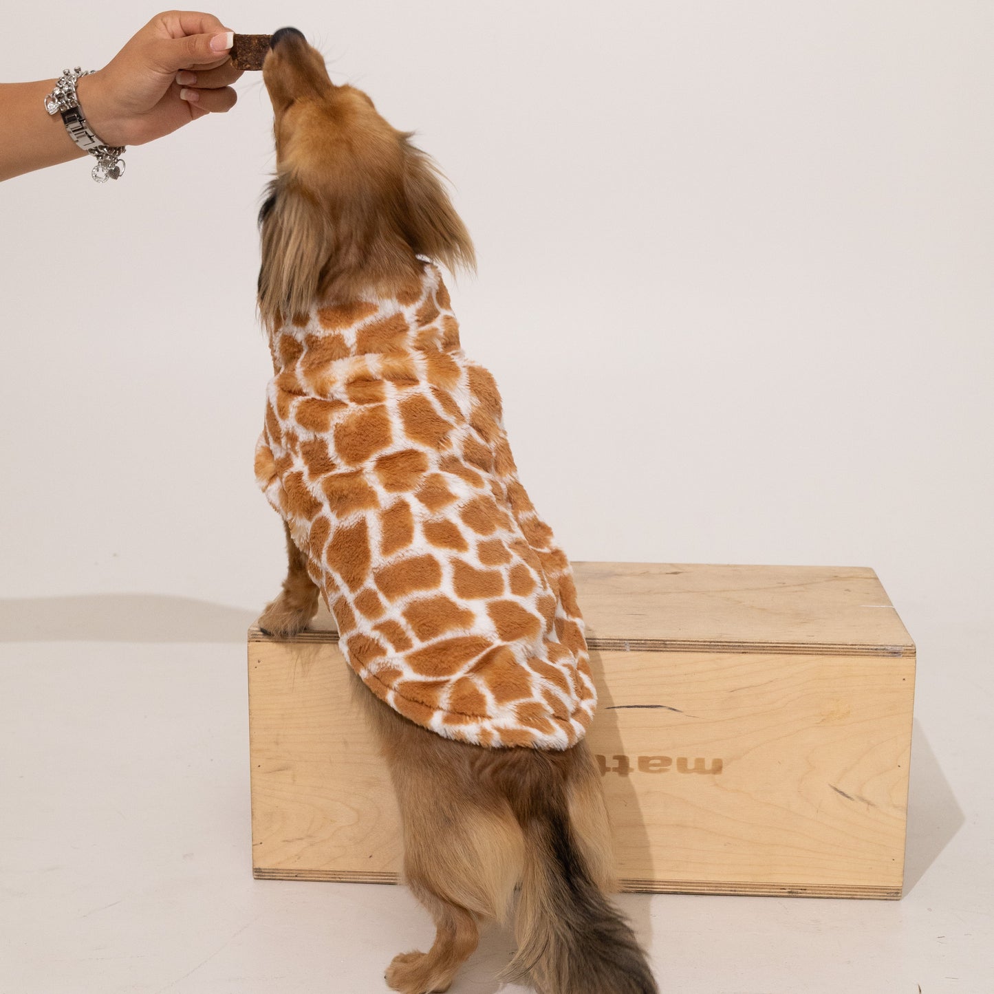 Tall & Proud Giraffe Print