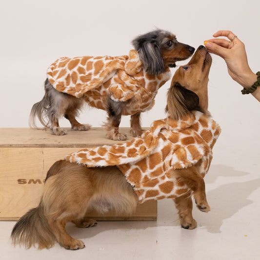 Tall & Proud Giraffe Print