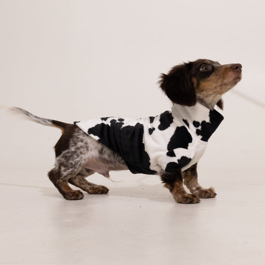 Bark Bark Moo Cow Print