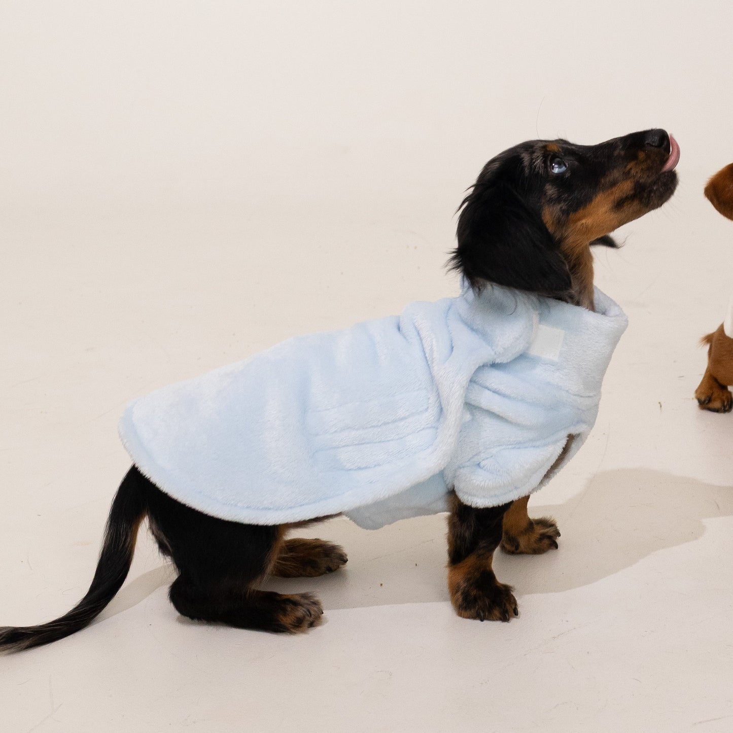 Pastel Blue Plush Sweater