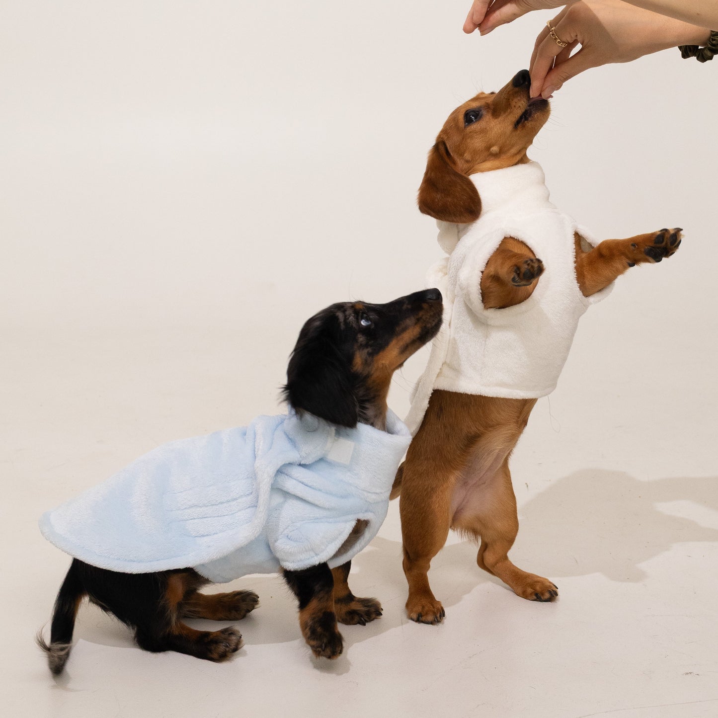 Pastel Blue Plush Sweater